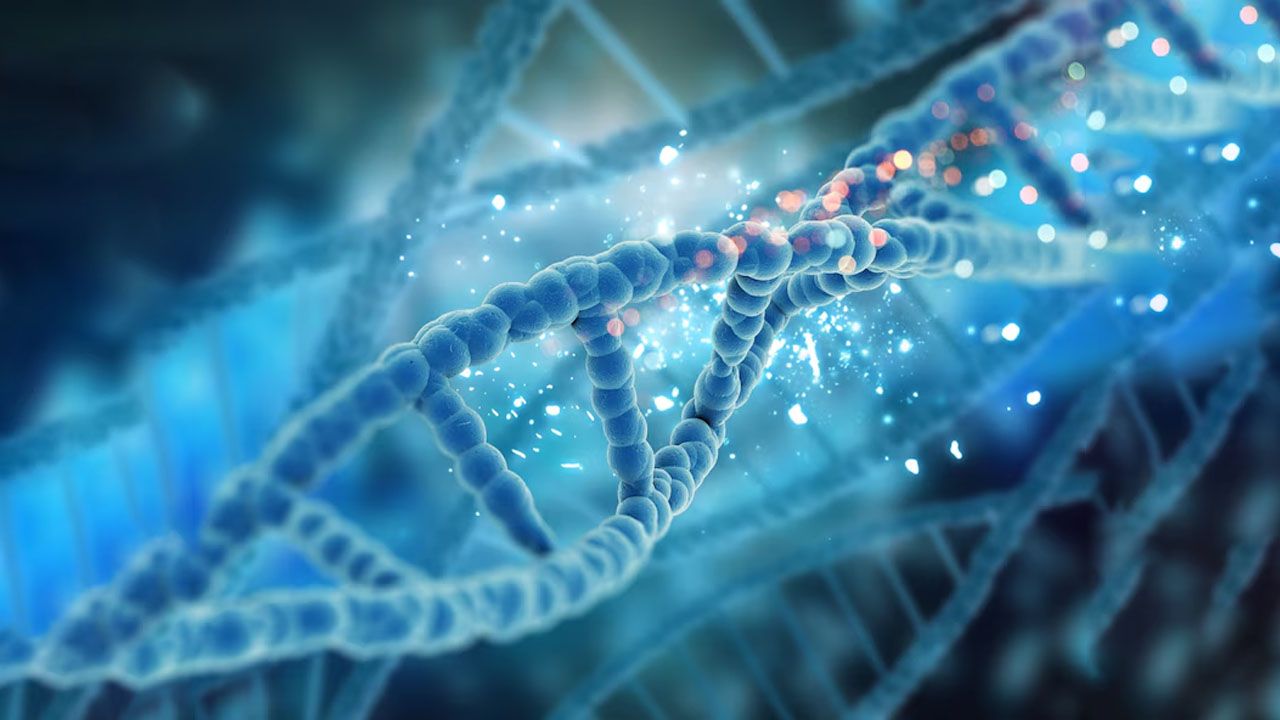 The Keys to Cellular Youth: NAD+ and Resveratrol