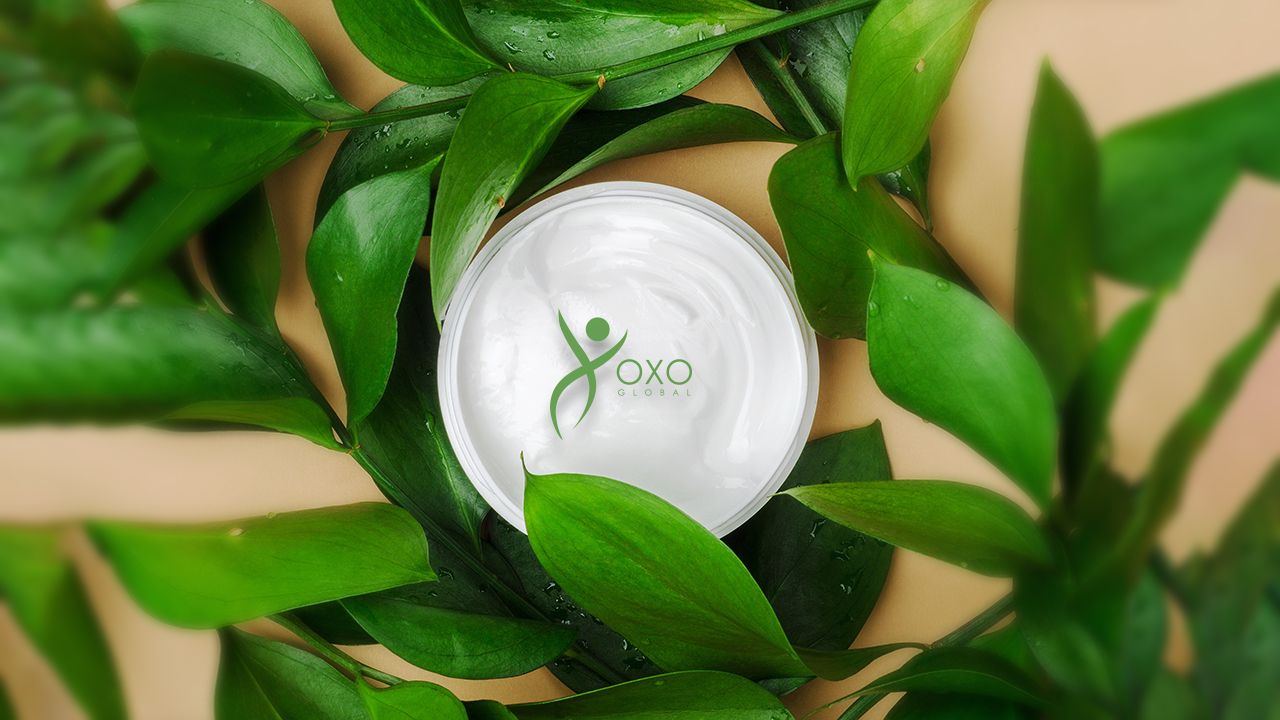 The Power of the Tea Tree: A Healing Source from Nature